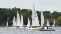 Regatta