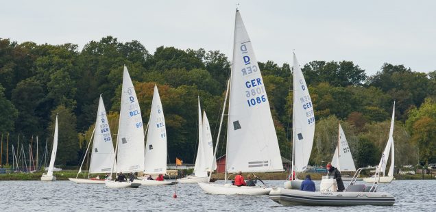 Regatta